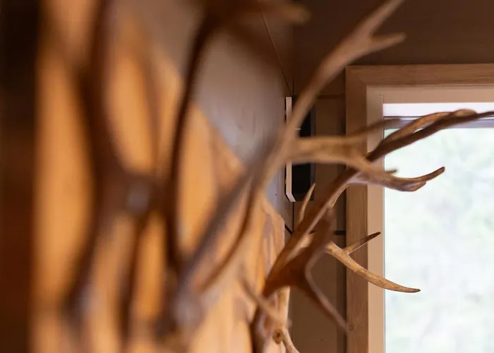 Lapponia Апартаменты *